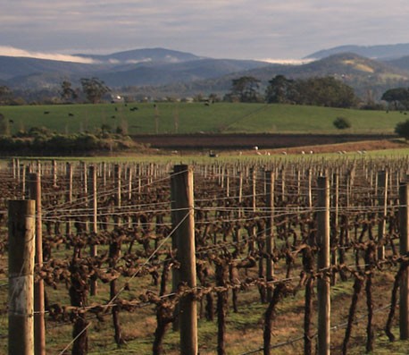 在线手机号呼死你